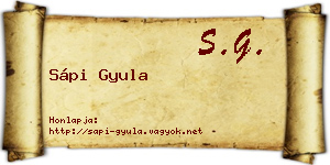 Sápi Gyula névjegykártya